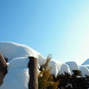 2011年11月23日（水・祝）