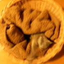 もうすぐ９０歳のじーさんの日常　“食う寝る遊ぶ”　の巻