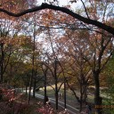 清水坂公園あたり