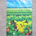 ピカチュウかくれんぼチュウ