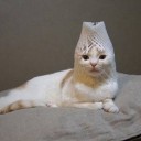 11月28日の日記