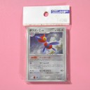 300円パック購入