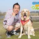 ショック！
