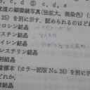 どんなだ。