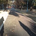 白子やぎさん。
