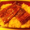 今日の夕食