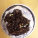 芽が出た