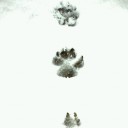 2011年12月4日（日）