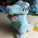 ワニノコ考