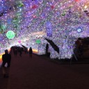 NON　TCG　日記　イルミネーション♪