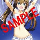 IS　OVA　≪恋に焦がれる六重奏≫　＆ジェネラル４強