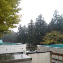 雪