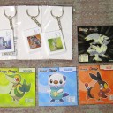 ポケットモンスターバトル大会2011＆ジムチャレ【わいずまん】