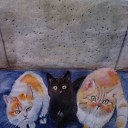 黒猫って