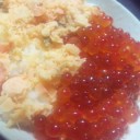 今日の夕食