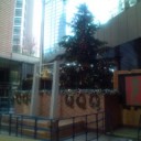 汐留のクリスマスツリー
