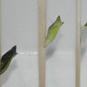 明け方の包丁は何に使う？　“ムカつくあれこれのエトセトラ”　の巻