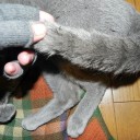 明け方の包丁は何に使う？　“ムカつくあれこれのエトセトラ”　の巻