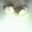 ようやく・・・