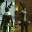 【FF14】 課金GO！・・・らしいです。