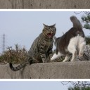 椅子取りゲーム
