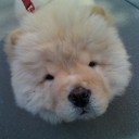2011　ＮＹの写真