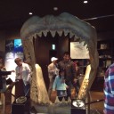 美ら海水族館