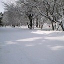 2012年仕事はじめ