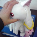 初ジムチャレ