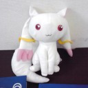 初ジムチャレ