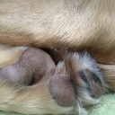 さよなら、松の内