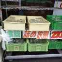 明日から始まる素敵な燃え尽き生活☆　“民族大移動終了しました”　の巻