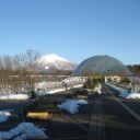 2012年1月8日長女帰宅
