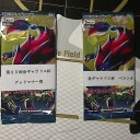 第25回金ギャラドス杯(GGC)　