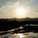 木曜〓バウムと散歩と〓