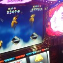 昨日は新年初稼働でバサラフィーバー！