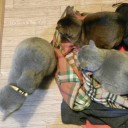 お前等はやればできる子　“でも滅多にやらない子”　の巻