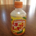 MEGADETH日和（美・バージョン）