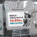 明日はこれ！