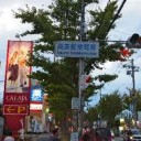 彼女が身に着けているのは、呼び起こすことのできるあらゆる生命の護符だ。