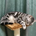 うなされがち