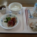 入院86日目
