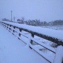 雪