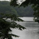 白神の森へ