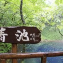 青池