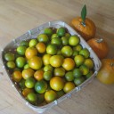 キンカンの砂糖煮