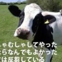 Re:水俣病の裏話？