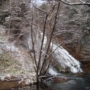 冠雪の日光