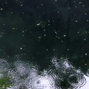 波紋