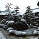 今回の雪・・・